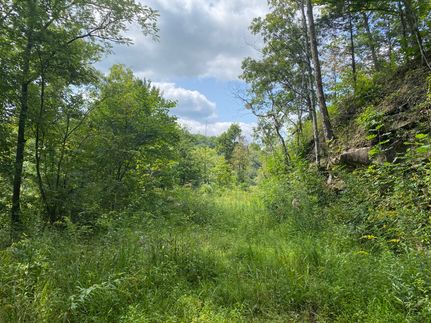 Recreational Property for sale in Breathitt County, Kentucky