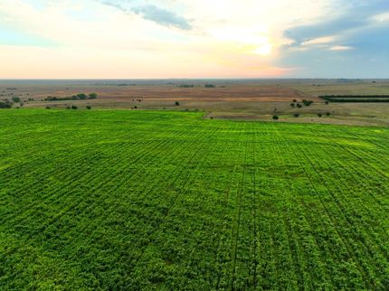 Land for sale in Rooks County, Kansas