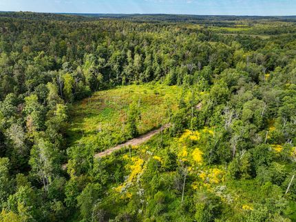 Undeveloped Land in Hopkins County, Kentucky