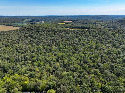 Undeveloped Land in Crittenden County, Kentucky