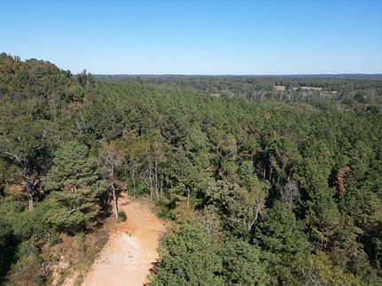 Land for sale in Pickens County, Alabama