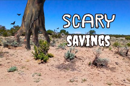 Undeveloped Land in Apache County, Arizona