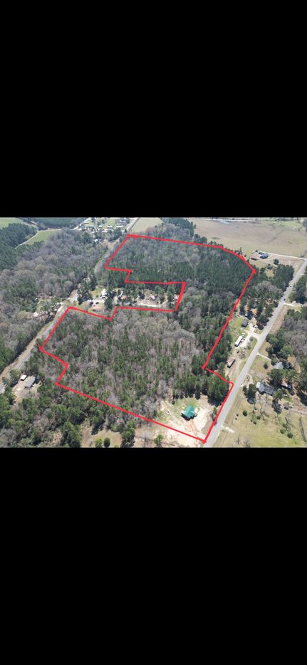 Land for sale in Wilcox County, Georgia
