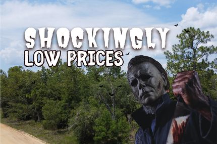 Undeveloped Land in Putnam County, Florida