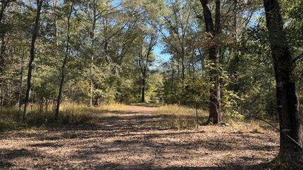 Land for sale in Red River County, Texas