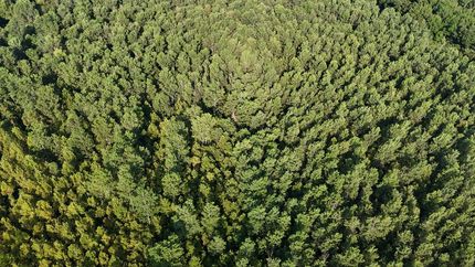 Hunting Property for sale in Warren County, Mississippi