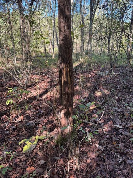 Farm and Ranch for sale in Ohio County, Kentucky