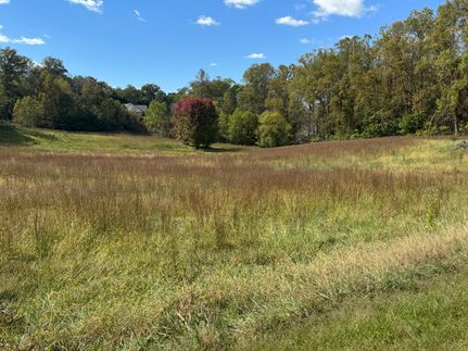 Undeveloped Land for sale in Towns County, Georgia