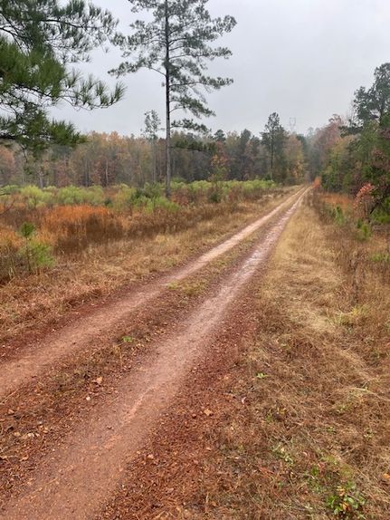 Farm and Ranch for sale in Harrison County, Texas
