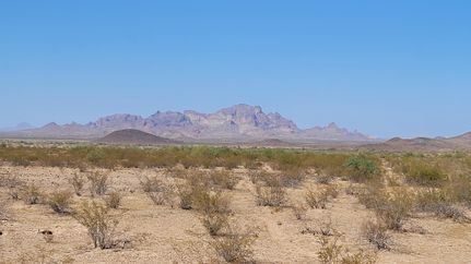 Farm and Ranch for sale in Maricopa County, Arizona