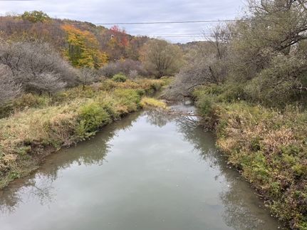 Land for sale in Allegany County, New York