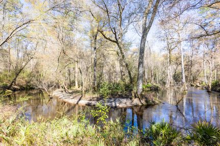 Land for sale in Colquitt County, Georgia