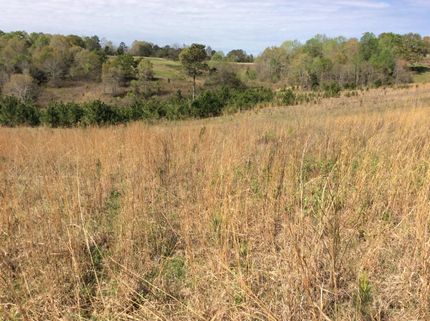 Homesite for sale in Crenshaw County, Alabama