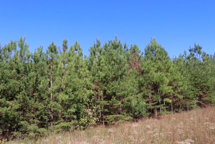 Recreational Property for sale in Prince Edward County, Virginia