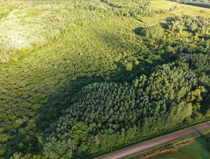 Land for sale in Taylor County, Wisconsin