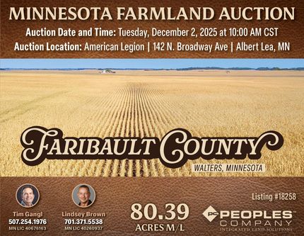 Farm and Ranch for sale in Faribault County, Minnesota