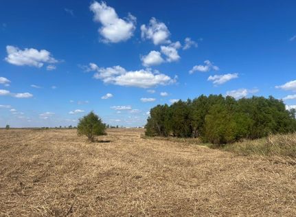 Undeveloped Land for sale in Hill County, Texas