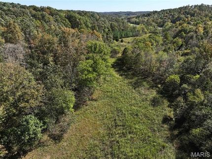 Timberland Property for sale in Bollinger County, Missouri