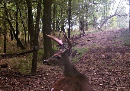 Recreational Property for sale in McCurtain County, Oklahoma