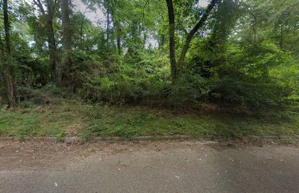 Undeveloped Land in Montgomery County, Texas