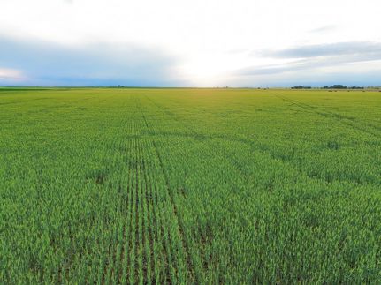 Undeveloped Land for sale in Harper County, Kansas