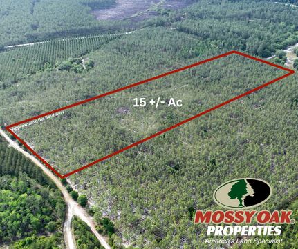 Hunting Property for sale in Charlton County, Georgia