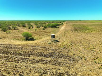 Land for sale in Jim Wells County, Texas