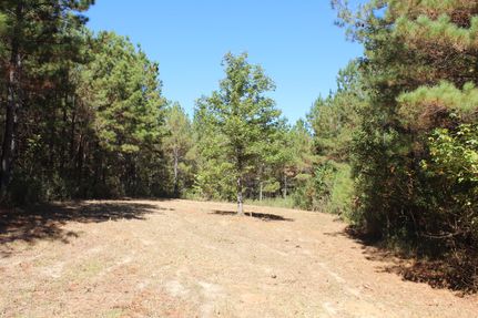 Land for sale in Montgomery County, Alabama