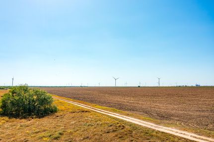 Undeveloped Land for sale in Hidalgo County, Texas