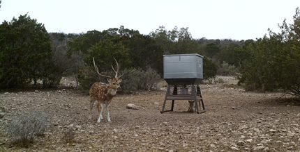 Land for sale in Edwards County, Texas