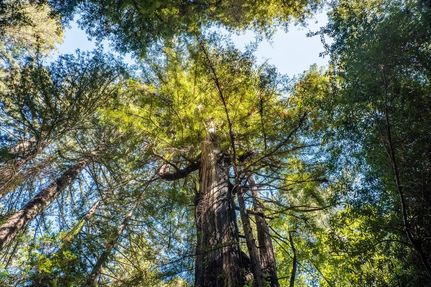 Land in Marin County, California