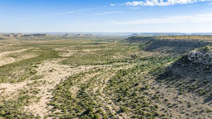 Recreational Property for sale in Terrell County, Texas