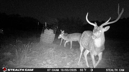 Recreational Property for sale in Edwards County, Texas