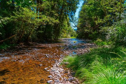 Farm and Ranch for sale in Lane County, Oregon