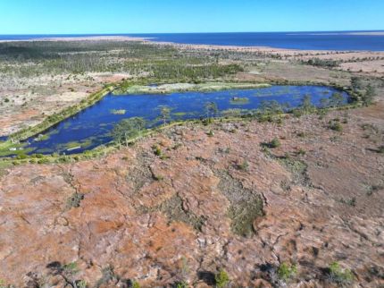 Timberland Property for sale in Pamlico County, North Carolina