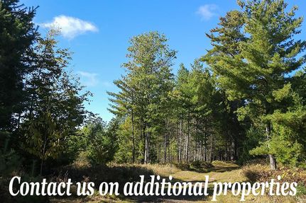 Land for sale in Bayfield County, Wisconsin