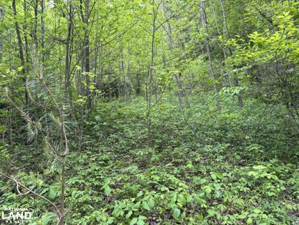 Land for sale in Jackson County, North Carolina