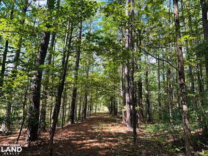 Undeveloped Land for sale in Prince George County, Virginia