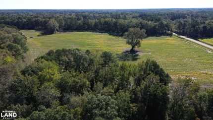 Land for sale in Williamsburg County, South Carolina