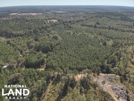 Land for sale in Simpson County, Mississippi