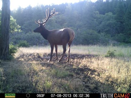 Farm and Ranch for sale in Jackson County, Oregon
