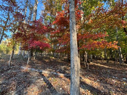 Timberland Property for sale in Montgomery County, North Carolina