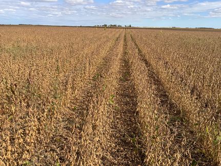 Farm and Ranch for sale in Rock County, Nebraska