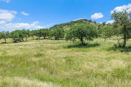 Undeveloped Land for sale in Blanco County, Texas