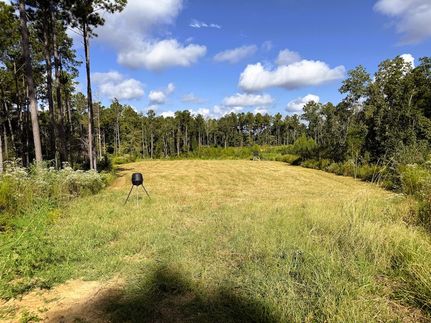 Land for sale in Jefferson County, Mississippi