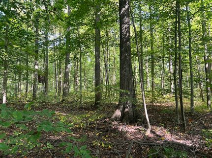 Land for sale in Medina County, Ohio