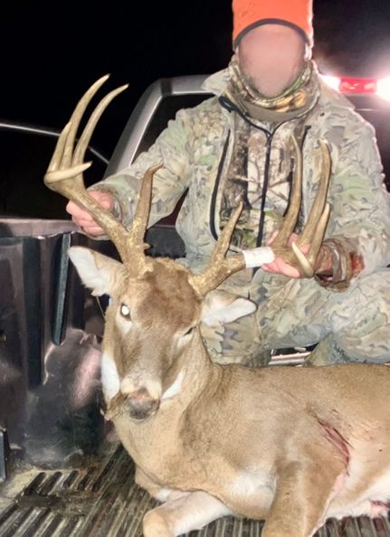 Timberland Property for sale in Union County, Illinois