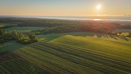 Undeveloped Land in Yates County, New York