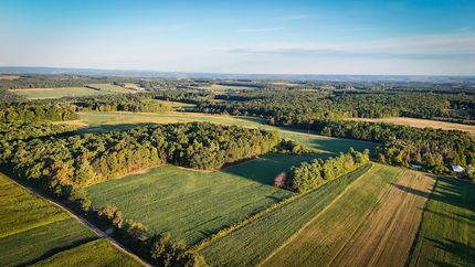 Undeveloped Land for sale in Yates County, New York