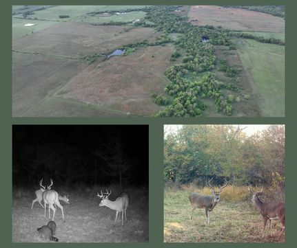 Undeveloped Land for sale in Atoka County, Oklahoma